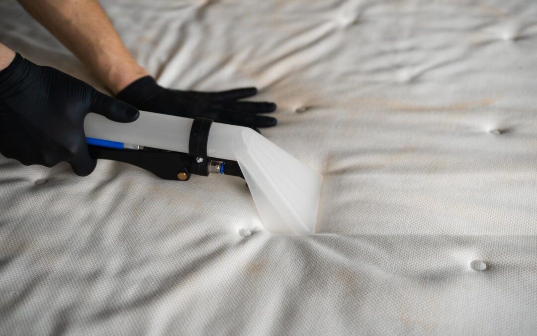 The Benefits of Regular Professional Mattress Cleaning for a Healthier Home