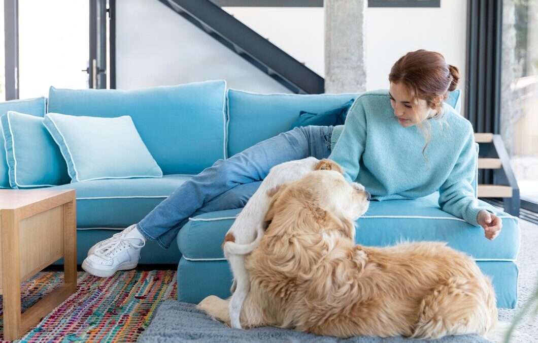 A Comprehensive Guide to Pet Odour Removal for Edmonton Homeowners and Businesses