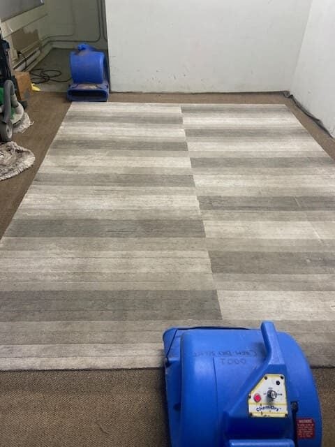 Chem-Dry Imperial Carpet Cleaning Expert Service