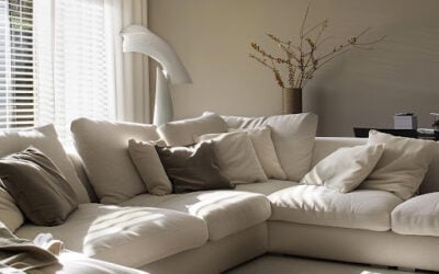 Premium Upholstery Cleaning in Edmonton