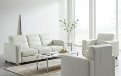 Professional Upholstery Cleaning Benefits in Edmonton: Expert Eco Friendly Services for Your Home and Business