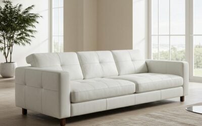 Expert Upholstery Cleaning in Edmonton