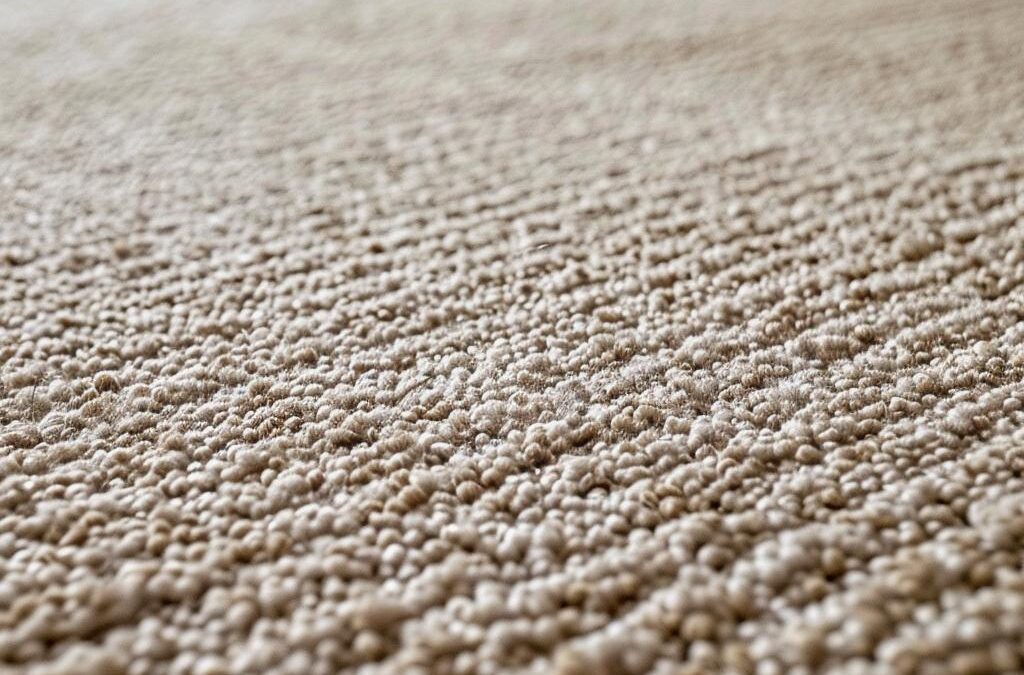 Deep Carpet Cleaning in Edmonton: Advanced Residential Fiber Restoration