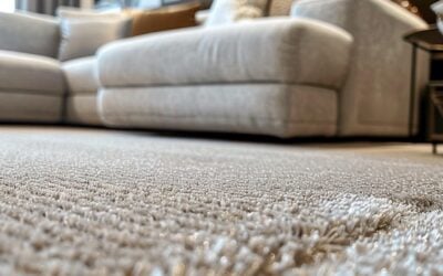 Revitalizing Edmonton Interiors: Expert Carpet Cleaning Services for a Healthier Home