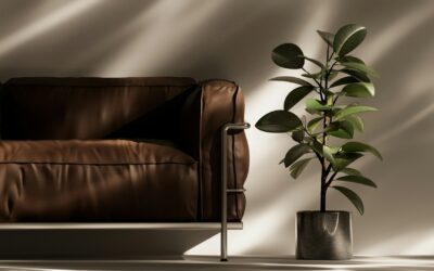 Revive Your Furniture with Professional Leather Cleaning Services in Edmonton