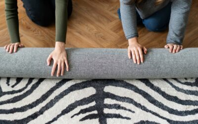 Preserve Your Treasured Rugs with Expert Area Rug Cleaning Services in Edmonton