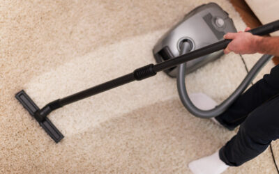 Chem-Dry vs Steam: Best Carpet Cleaning Method