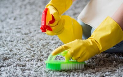 5 Signs You Need Professional Carpet Cleaning Services in Edmonton