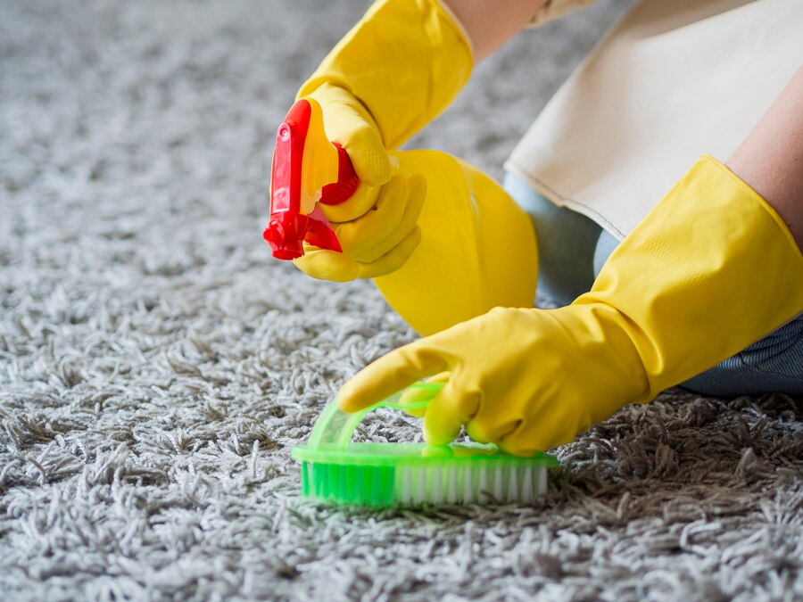 5 Signs You Need Professional Carpet Cleaning Services in Edmonton