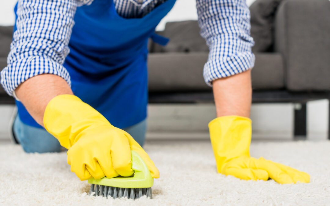 How to Remove Pet Odours from Carpets Easily