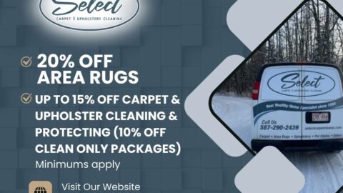 Carpet and Upholstery Cleaning
