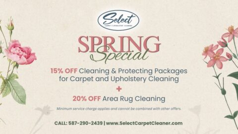 Carpet and Upholstery Cleaning