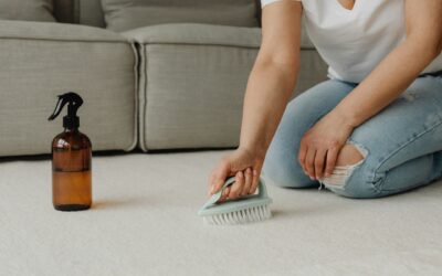 How to Prevent Mold and Mildew in Your Carpets