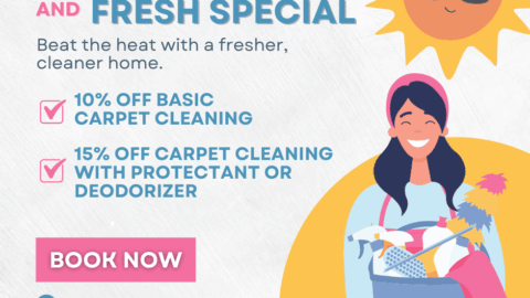 Carpet Cleaning Summer Special