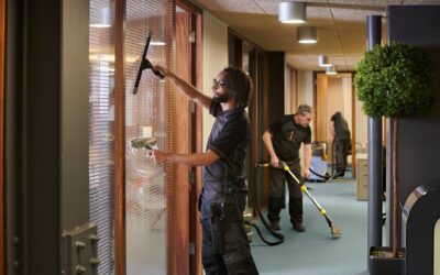 Office After-Hours Commercial Carpet Cleaning: Minimizing Downtime with Professional Services