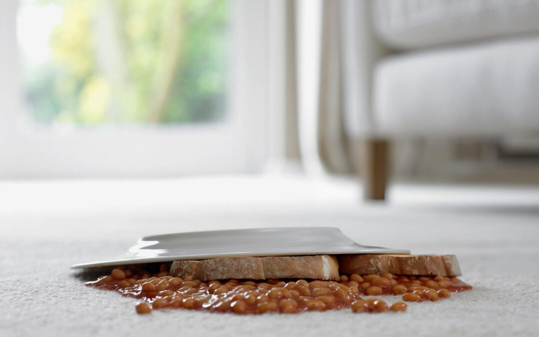 How to Handle Unexpected Carpet Stains