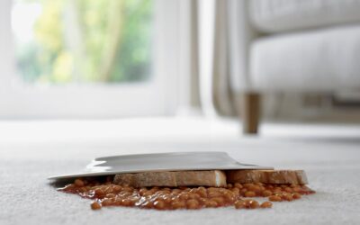 How to Handle Unexpected Carpet Stains