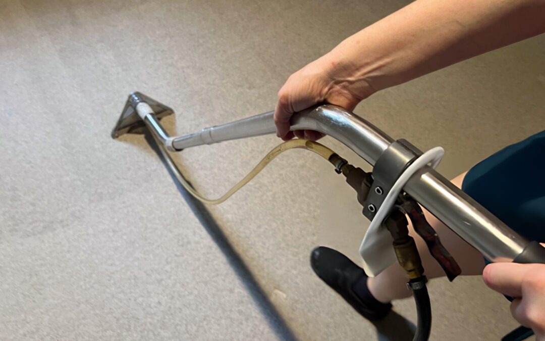 Preparing Your Commercial Carpets for High Traffic