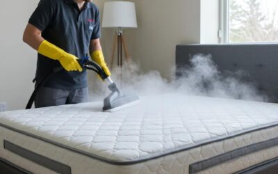 Expert Tips for Mattress Stain Removal & Care